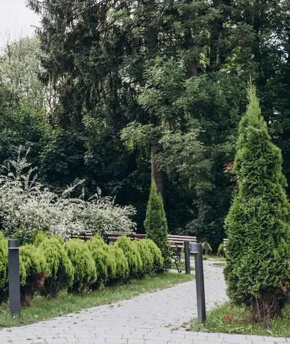 Поруч природа